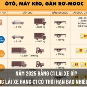 CHƯƠNG TRÌNH TẬP HUẤN GIÁO VIÊN DẠY THỰC HÀNH LÁI XE TẠI TRUNG TÂM AN CƯ 7 bang lai hang c1
